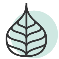 Iconen-lesvorm-2